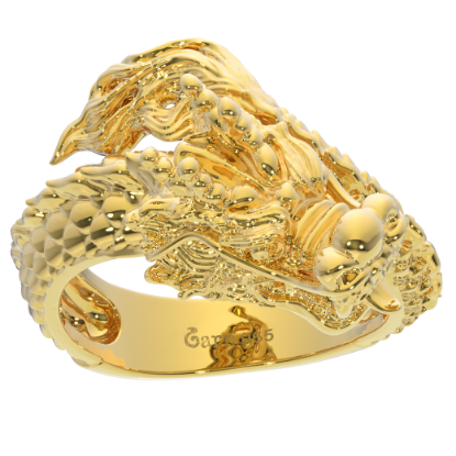 รูปภาพของ  Dragon.