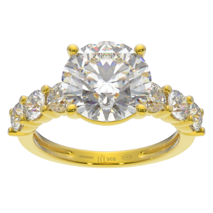 รูปภาพของ Women Classic Standard.